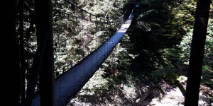 Beitragsbild des Blogbeitrags Drahtsteg zw. Lingenau und Großdorf