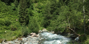 Beitragsbild des Blogbeitrags Bachlehrweg – Hollersbach – Salzburg