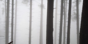 Beitragsbild des Blogbeitrags Staufenrunde im Nebel 