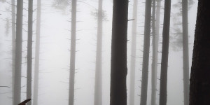 Beitragsbild des Blogbeitrags Staufenrunde im Nebel