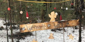 Beitragsbild des Blogbeitrags Weihnachtswald – St. Arbogast 