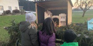 Beitragsbild des Blogbeitrags Krippenweg – Maria Stern-Gwiggen-Hohenweiler