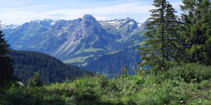 Beitragsbild des Blogbeitrags Falzer Kopf – Bregenzerwald