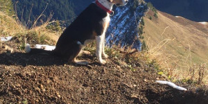 Beitragsbild des Blogbeitrags Zafernhorn im Herbst