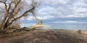 Beitragsbild des Blogbeitrags Rheinholz – Rundweg Gaißau