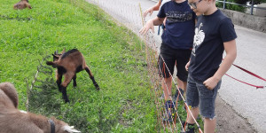 Beitragsbild des Blogbeitrags Rundwanderweg in Übersaxen