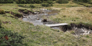 Beitragsbild des Blogbeitrags Elsenkopf in Damüls