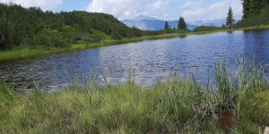 Beitragsbild des Blogbeitrags Wiegensee