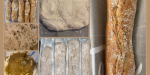 Beitragsbild des Blogbeitrags Ciabatta nach Dietmar Kappl
