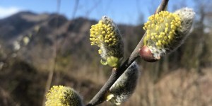 Beitragsbild des Blogbeitrags Corona-Wandern: Wanderungen rund um Graz