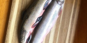 Beitragsbild des Blogbeitrags Superfisch Saibling – vom See in die Pfanne 