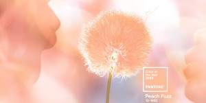 Beitragsbild des Blogbeitrags Pantone Farbe des Jahres 2024 – Peach Fuzz 13-1023