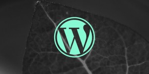 Beitragsbild des Blogbeitrags Webdesign und WordPress