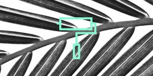 Beitragsbild des Blogbeitrags Web Design 2020 – Die Trends im Webdesign