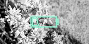 Beitragsbild des Blogbeitrags Marketing in Krisenzeiten