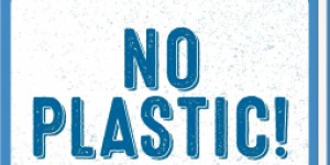 Beitragsbild des Blogbeitrags Rezension: No Plastic!: 101 einfache Wege, auf Plastik zu verzichten - Harriet Dyer