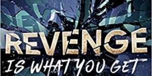 Beitragsbild des Blogbeitrags Rezension: Revenge is what you get (Rydeville Elite 2) - Siobhan Davis 