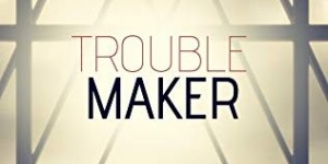 Beitragsbild des Blogbeitrags Rezension: Troublemaker (Harbor City 2) - Avery Flynn