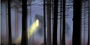 Beitragsbild des Blogbeitrags Rezension: Rote Tränen - Mike Landin