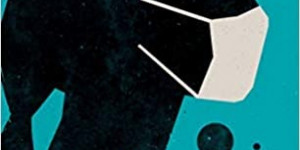 Beitragsbild des Blogbeitrags Rezension: Cleanland - Martin Schäuble