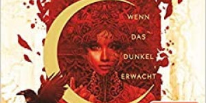 Beitragsbild des Blogbeitrags Rezension: Crescent City: Wenn das Dunkel erwacht - Sarah J. Maas 