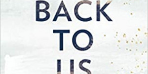 Beitragsbild des Blogbeitrags Rezension: Back to us - Morgane Moncomble