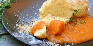 Beitragsbild des Blogbeitrags Topfenknödel mit Marillen-Thymian-Mus