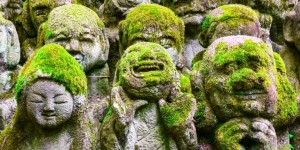 Beitragsbild des Blogbeitrags Kyoto – 14 Inspirationen und Geheimtipps 
