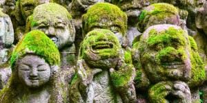 Beitragsbild des Blogbeitrags Kyoto – 14 Inspirationen und Geheimtipps
