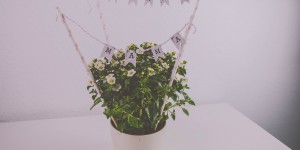 Beitragsbild des Blogbeitrags DIY Muttertagsgeschenk basteln