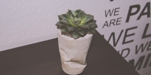 Beitragsbild des Blogbeitrags Knickvase aus Beton