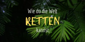 Beitragsbild des Blogbeitrags Wie du die Welt retten kannst!