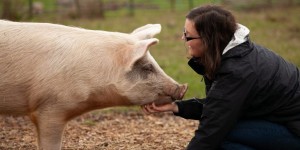 Beitragsbild des Blogbeitrags Ich lebe vegan, bin ich extrem? 