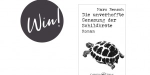 Beitragsbild des Blogbeitrags Give-Away! Gewinnt zwei Mal „Die unverhoffte Genesung der Schildkröte“!