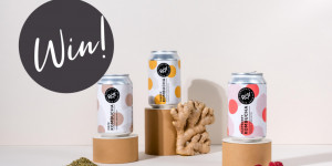 Beitragsbild des Blogbeitrags Give-Away! Gewinnt drei Taste Packs von ROY Kombucha!