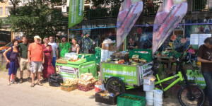 Beitragsbild des Blogbeitrags Essen retten, Müll reduzieren: Was ist foodsharing und wie funktioniert es?