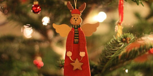 Beitragsbild des Blogbeitrags Lebender Weihnachtsbaum mit Liefer- und Abholservice