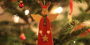 Beitragsbild des Blogbeitrags Lebender Weihnachtsbaum mit Liefer- und Abholservice