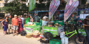 Beitragsbild des Blogbeitrags Essen retten, Müll reduzieren: Was ist foodsharing und wie funktioniert es?
