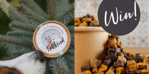 Beitragsbild des Blogbeitrags The birds new nest Adventskalender: 21. Türchen