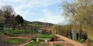 Beitragsbild des Blogbeitrags Lamasthék: Vegane Jausenstation mit Lamas