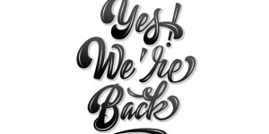 Beitragsbild des Blogbeitrags Yes, we are back: The birds new nest ist zurück!