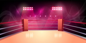 Beitragsbild des Blogbeitrags Cardano Gründer bekämpft YouTuber ChicoCrypto in MMA Match