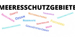 Beitragsbild des Blogbeitrags Meeresschutzgebiete 