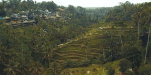 Beitragsbild des Blogbeitrags Must-See: Bali Edition - Part 1