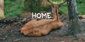 Beitragsbild des Blogbeitrags Austria