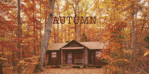 Beitragsbild des Blogbeitrags Autumn: The Best movies for fall mood