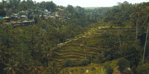Beitragsbild des Blogbeitrags Must-See: Bali Edition - Part 1