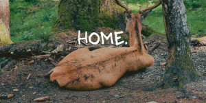 Beitragsbild des Blogbeitrags Austria