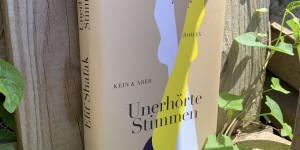 Beitragsbild des Blogbeitrags „Unerhörte Stimmen“ von Elif Shafak